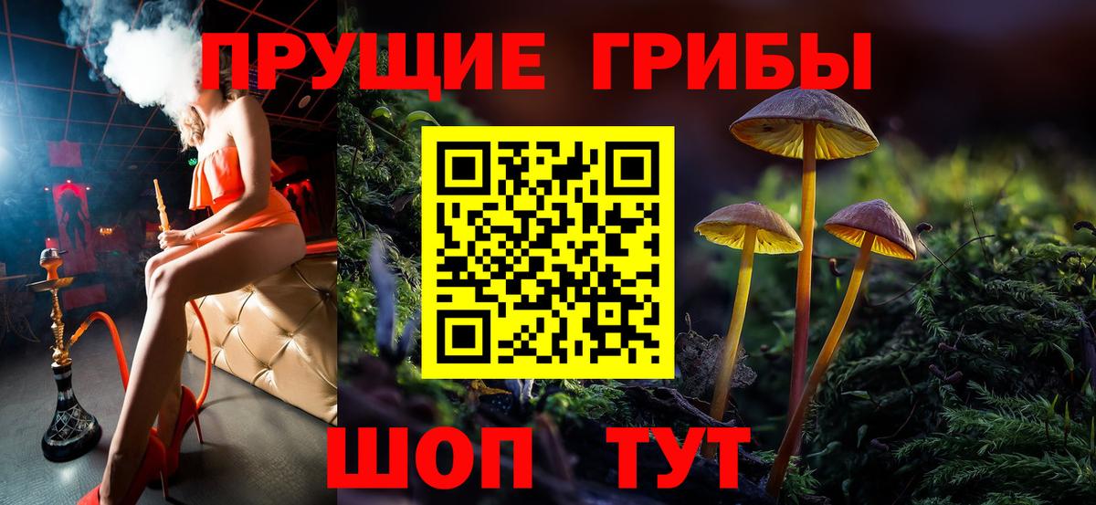 Псилоцибиновые грибы Psilocybe Зеленокумск