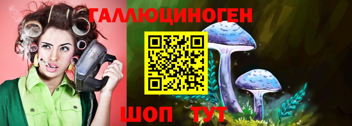 Зеленокумск  Псилоцибиновые грибы GOLDEN TEACHER  Вход с VPN 